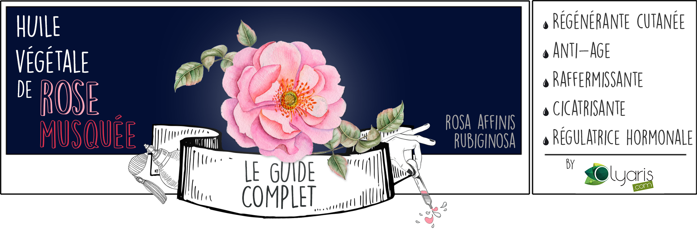 Huile Végétale de Rose Musquée : le Guide d'Utilisation Complet - Olyaris